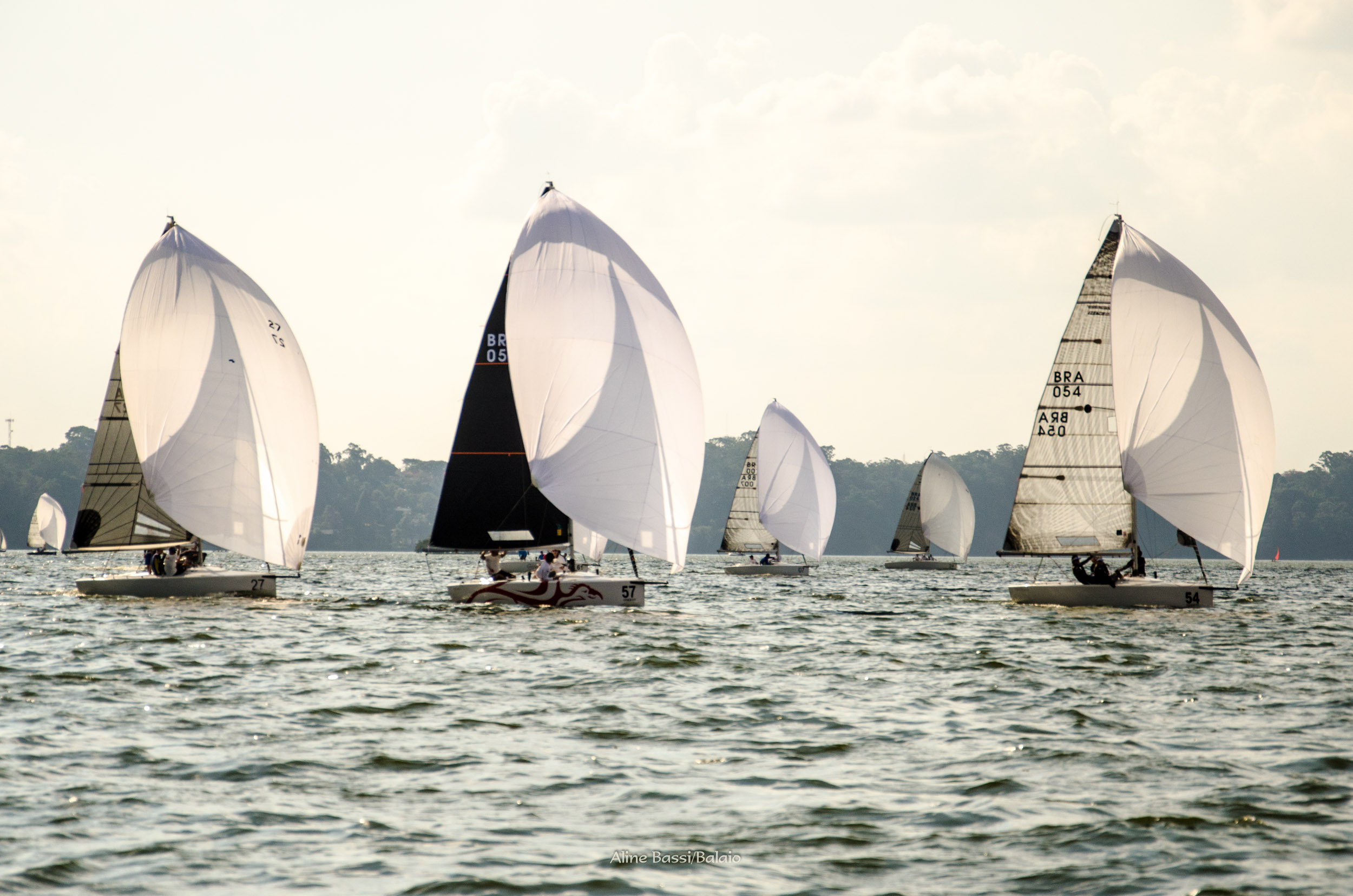 16º Campeonato Paulista de HPE – 2019
